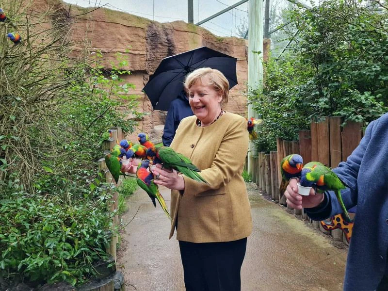 Angela Merkel kuş parkında zor anlar yaşadı